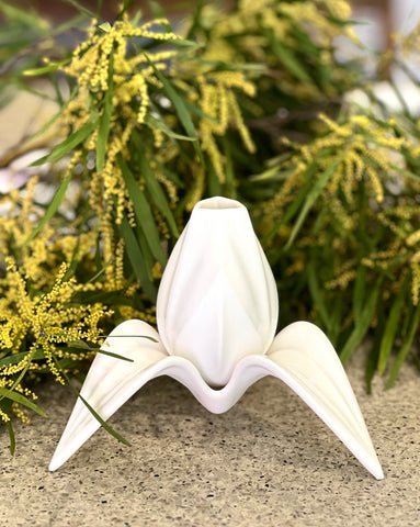 Object VB - Lilium Milk Vessel + Saucer